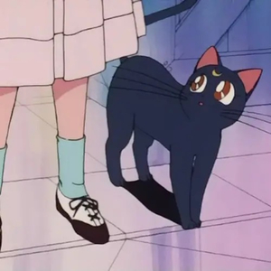 欧美视频97色伦影院
